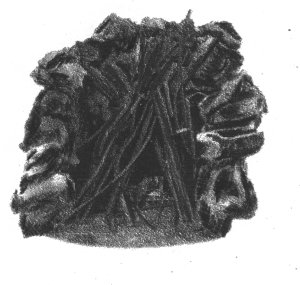 Resim33