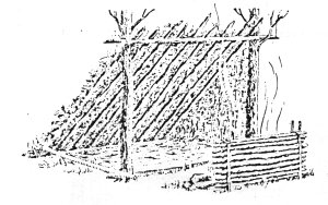 Resim43