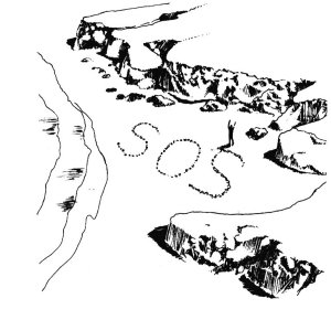 Resim1